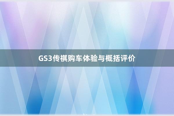 GS3传祺购车体验与概括评价