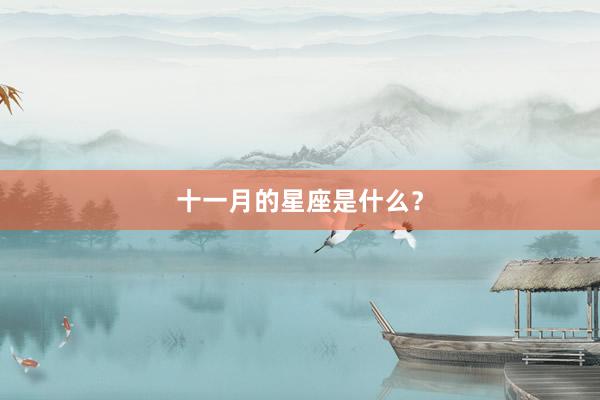 十一月的星座是什么？