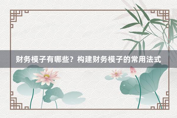 财务模子有哪些？构建财务模子的常用法式