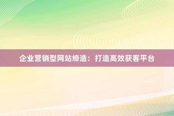 企业营销型网站缔造：打造高效获客平台